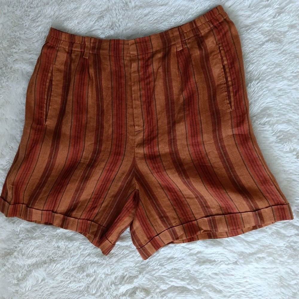 Ellen Tracy Brown and Red Striped Women Shorts